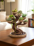 Bonsai Tree Planter