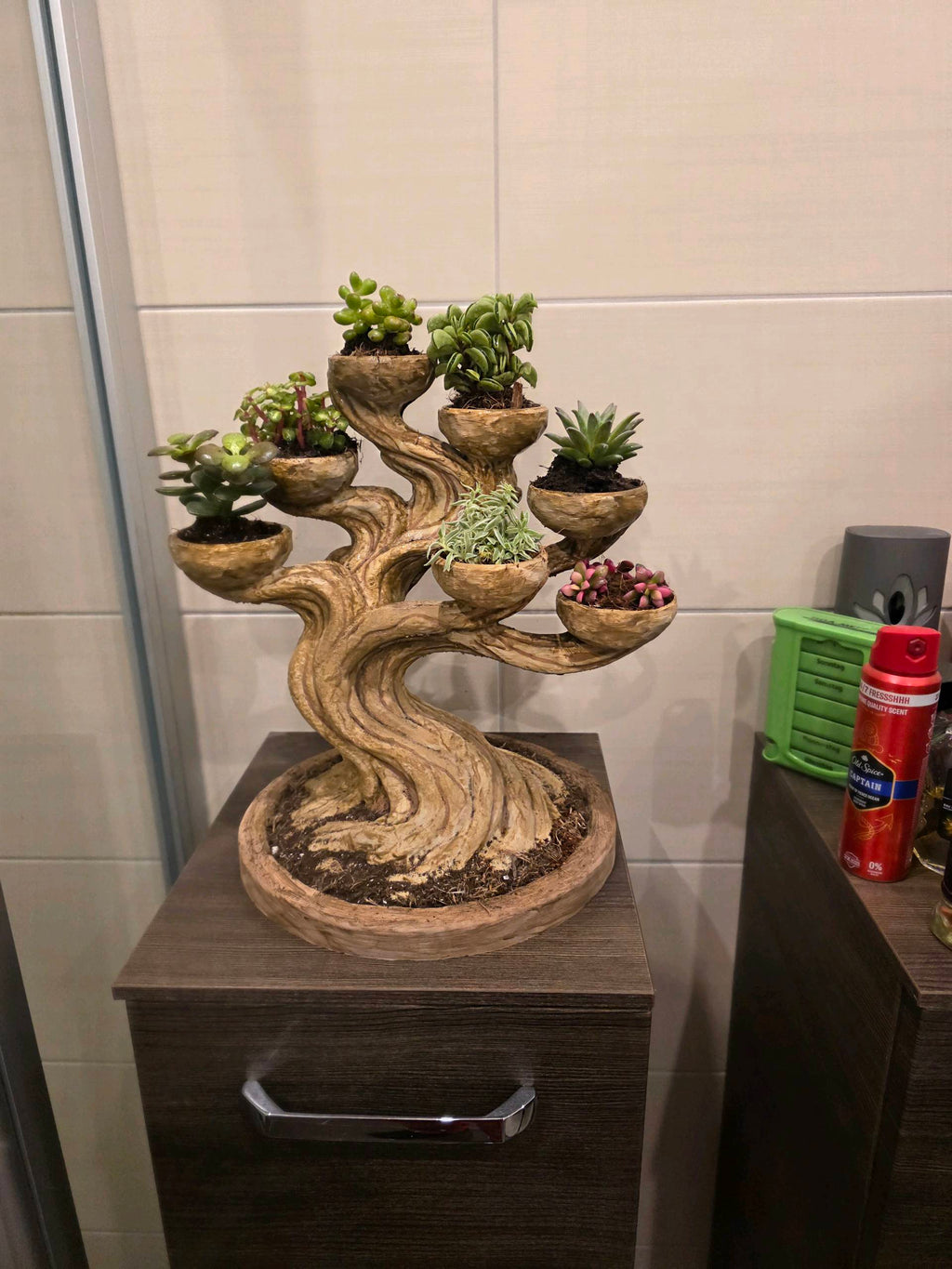 Bonsai Tree Planter