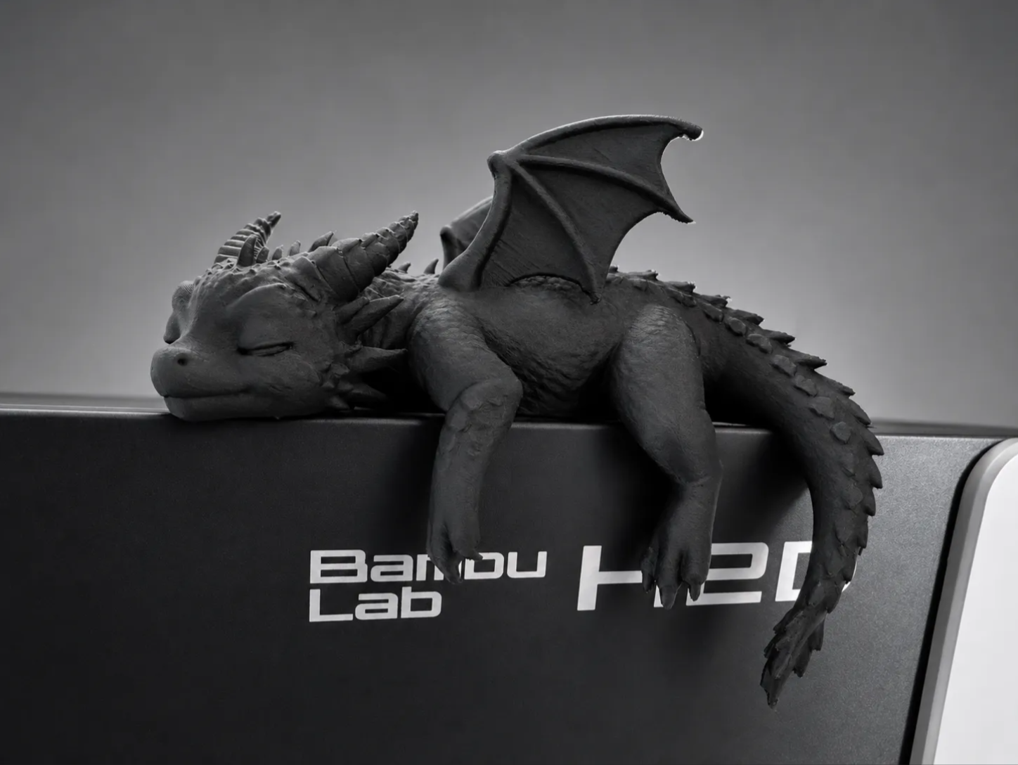 Sleeping Baby Dragon